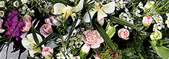 flores para incineración