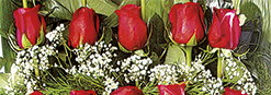 flores para cementerio