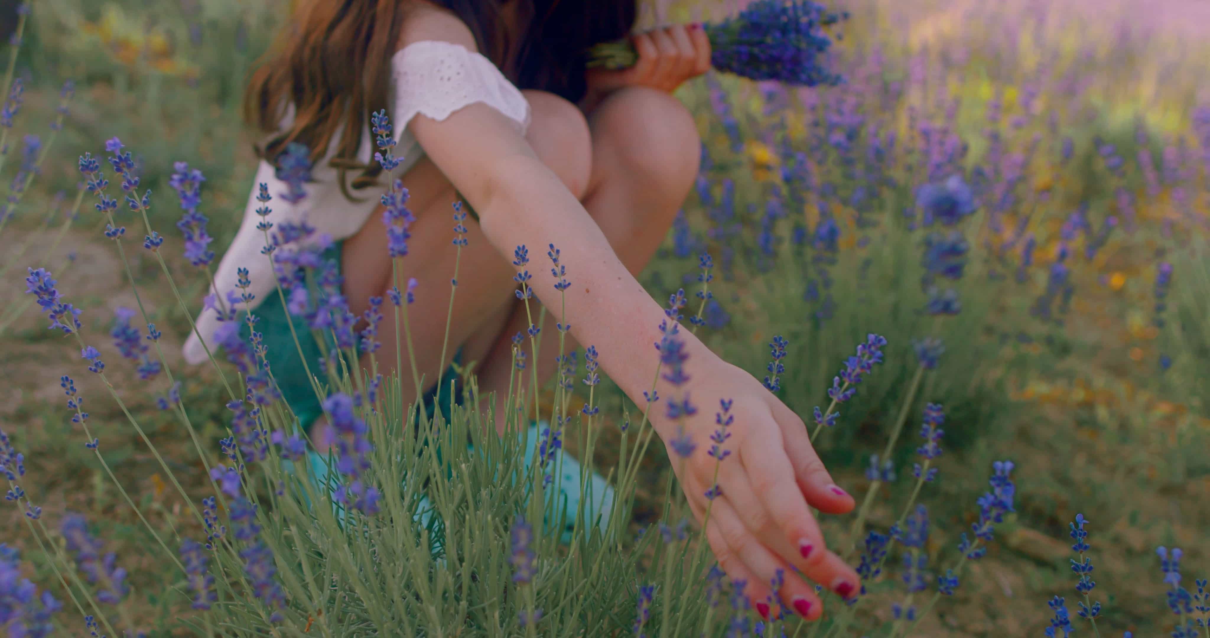 Envío de flores