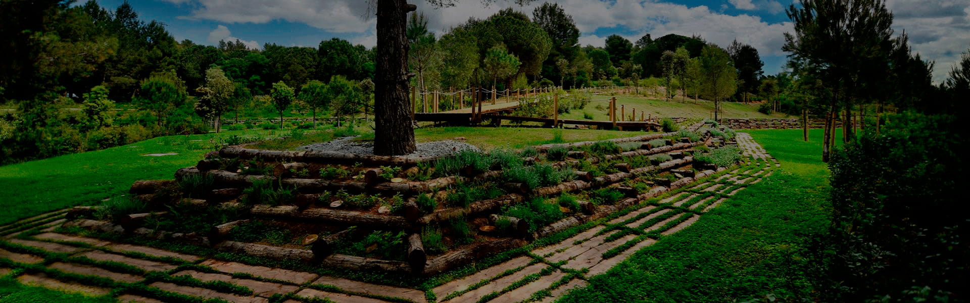 Servicio básico y velatorio