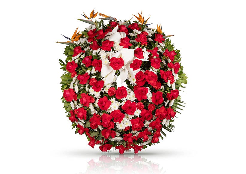 https://www.altima-sfi.com/sites/default/files/s3/articulos/1070734.jpg https://www.altima-sfi.com/sites/default/files/s3/articulos/1070734.jpg