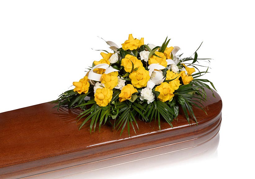 https://www.altima-sfi.com/sites/default/files/s3/articulos/1070782.jpg https://www.altima-sfi.com/sites/default/files/s3/articulos/1070782.jpg