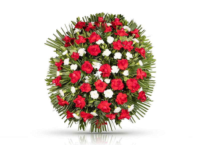 https://www.altima-sfi.com/sites/default/files/s3/articulos/1070766.jpg https://www.altima-sfi.com/sites/default/files/s3/articulos/1070766.jpg