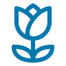icono-tulipan